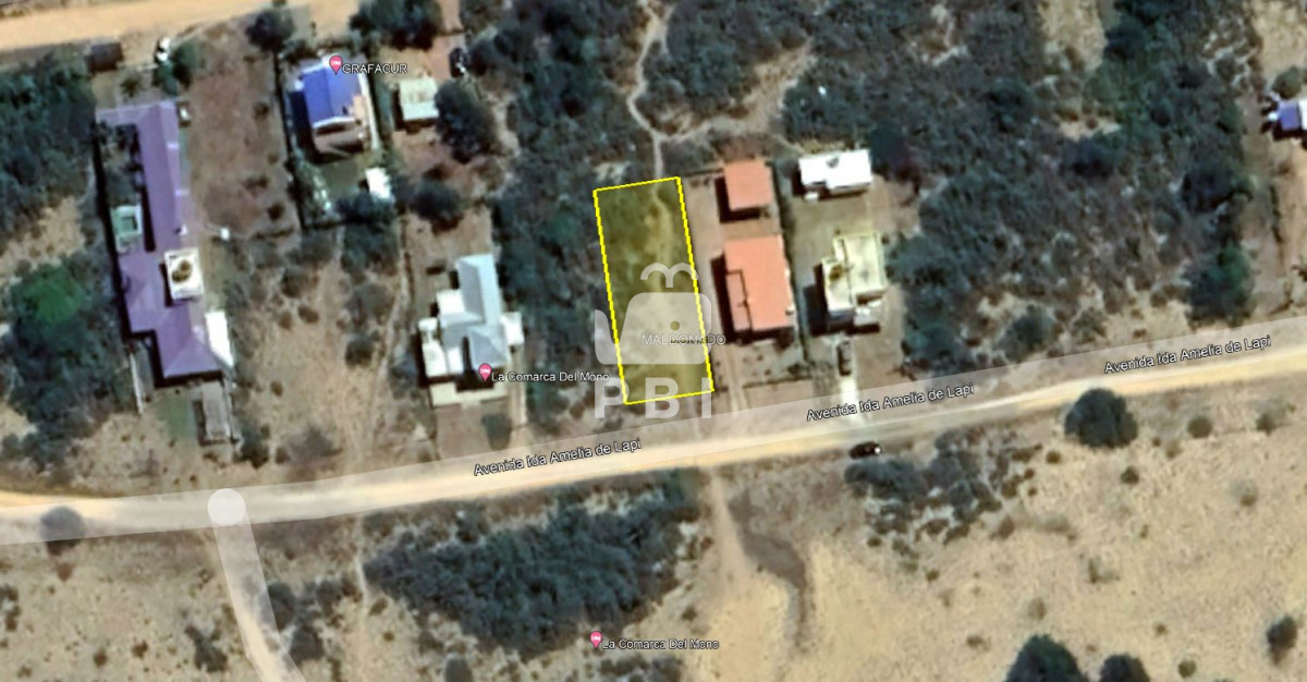 Sauce de Portezuelo - GoPunta - Portal Inmobiliario de Punta del Este - Maldonado