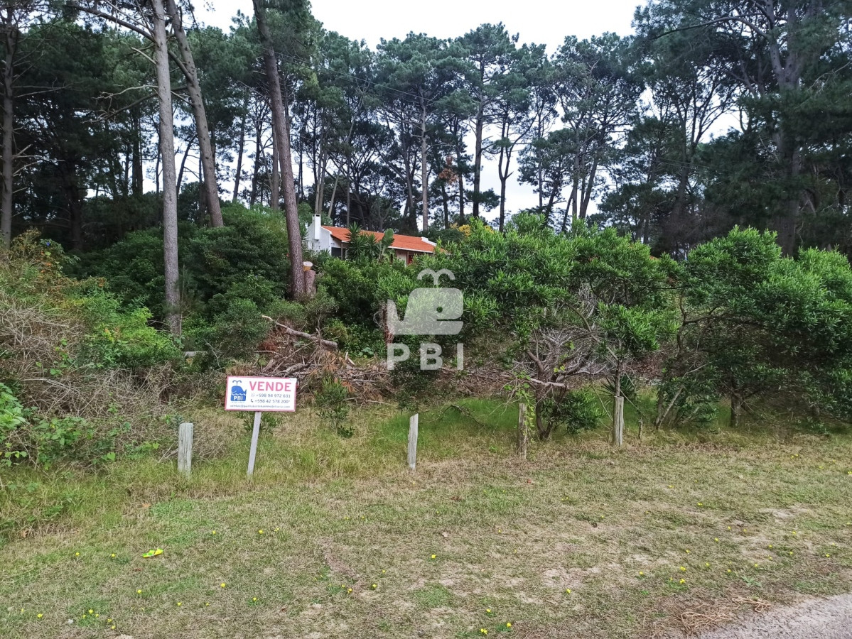 Laguna del Sauce - GoPunta - Portal Inmobiliario de Punta del Este - Maldonado