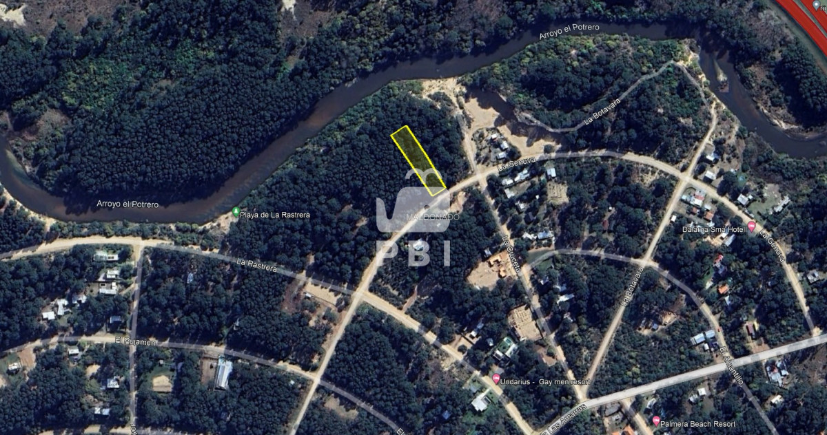 Chihuahua - GoPunta - Portal Inmobiliario de Punta del Este - Maldonado