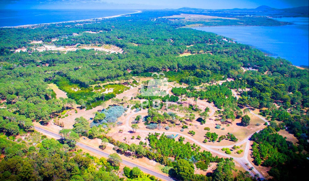 Laguna del Sauce - GoPunta - Portal Inmobiliario de Punta del Este - Maldonado
