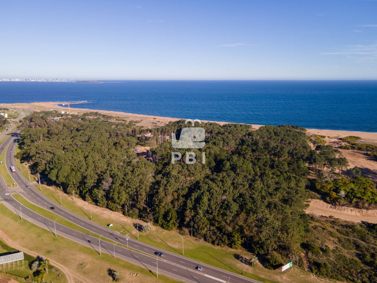 VGVycmVubyBlbiB2ZW50YSBlbiBiYXJyaW8gcHJpdmFkbyBBc3RyYSwgUHVudGEgQmFsbGVuYSAtIFJlZiA6IFBCSTE1NTU2