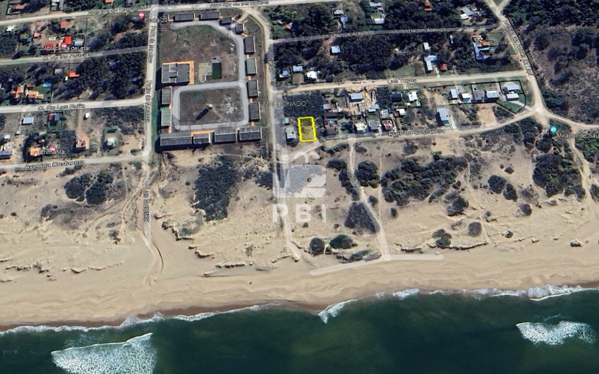 Sauce de Portezuelo - GoPunta - Portal Inmobiliario de Punta del Este - Maldonado