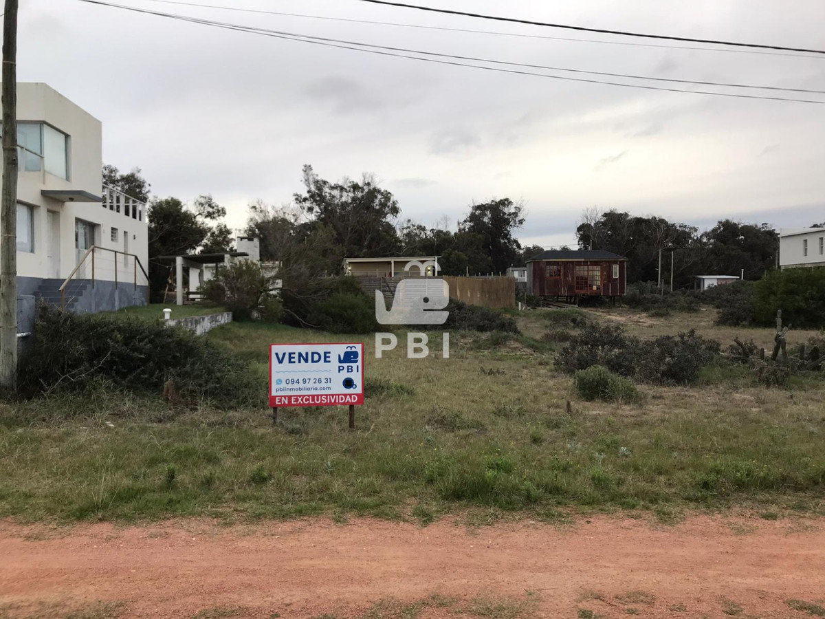 Sauce de Portezuelo - GoPunta - Portal Inmobiliario de Punta del Este - Maldonado