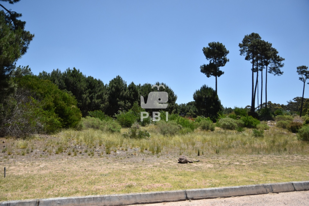 Laguna del Sauce - GoPunta - Portal Inmobiliario de Punta del Este - Maldonado