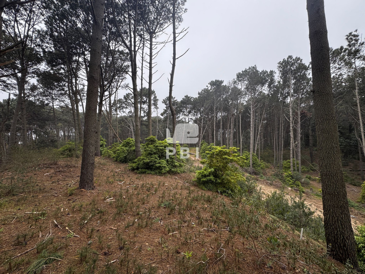 VGVycmVubyBmcmVudGUgYSBsYSBsYWd1bmEgZW4gQ2x1YiBkZWwgTGFnbywgUHVudGEgQmFsbGVuYSAtIFJlZiA6IFBCSTI5Njc=