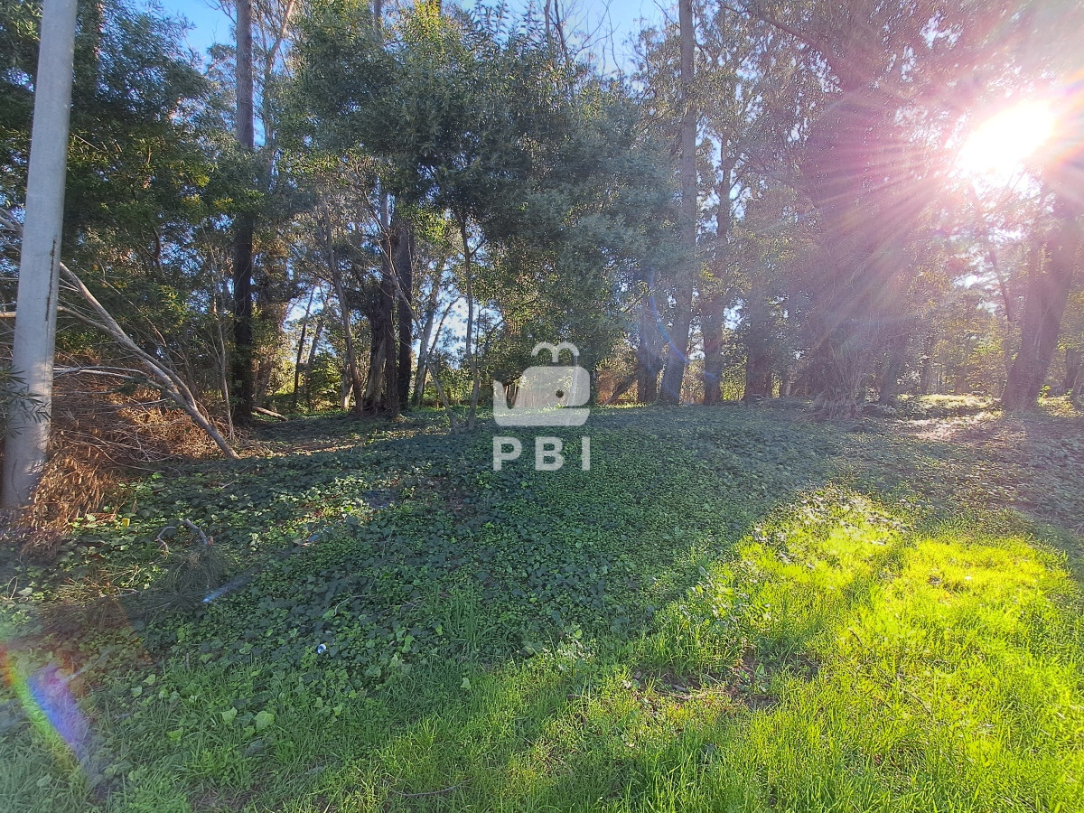Propiedad - GoPunta - Portal Inmobiliario de Punta del Este - Maldonado