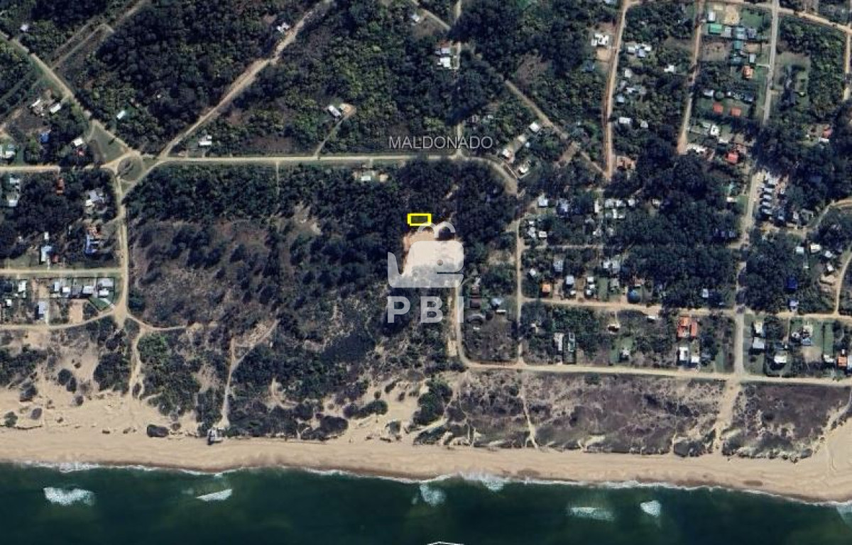 Sauce de Portezuelo - GoPunta - Portal Inmobiliario de Punta del Este - Maldonado