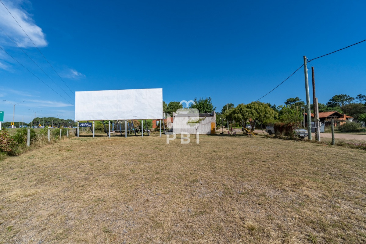 Tio Tom - GoPunta - Portal Inmobiliario de Punta del Este - Maldonado