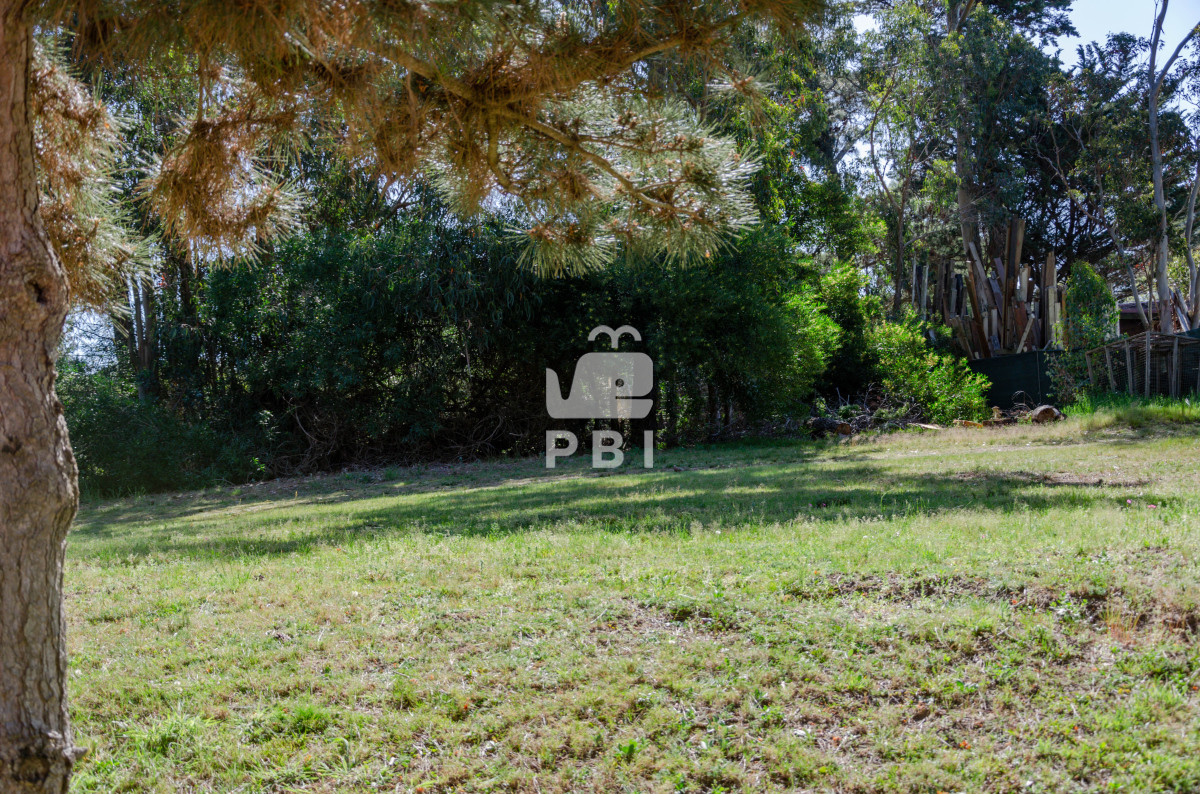 Piedras del Chileno - GoPunta - Portal Inmobiliario de Punta del Este - Maldonado