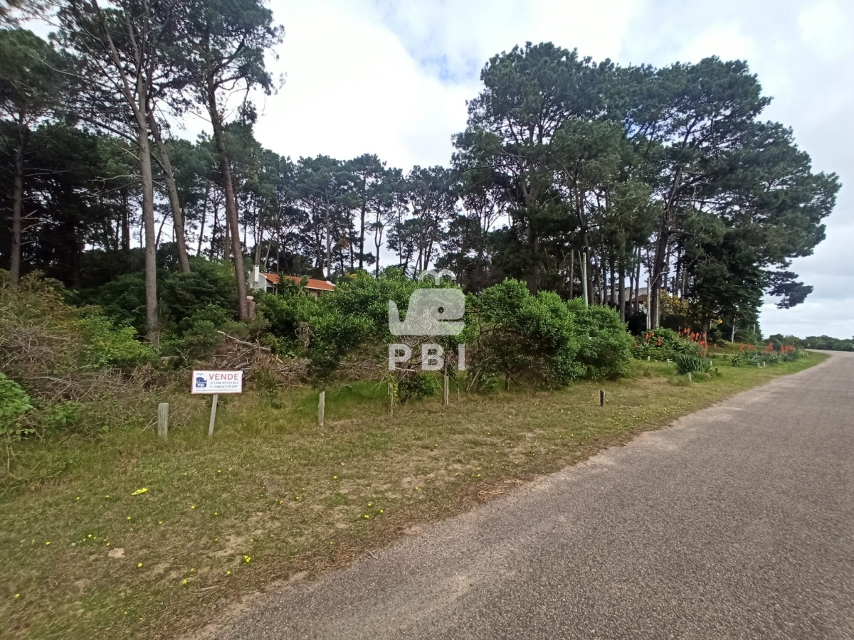 Laguna del Sauce - GoPunta - Portal Inmobiliario de Punta del Este - Maldonado