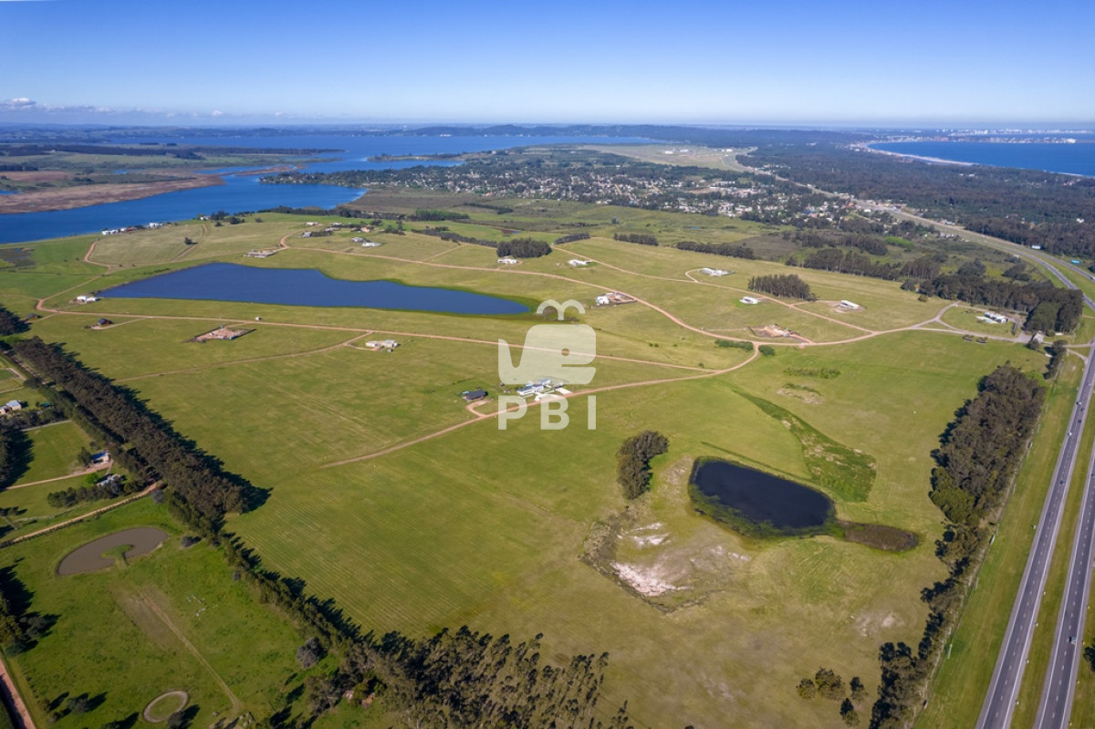 Laguna de los Cisnes - GoPunta - Portal Inmobiliario de Punta del Este - Maldonado