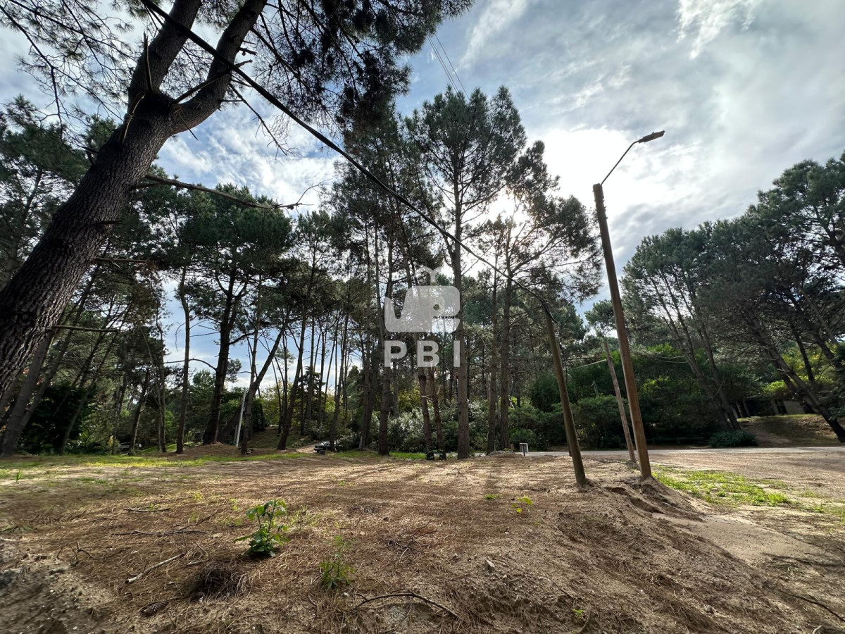 Portezuelo Bosque - GoPunta - Portal Inmobiliario de Punta del Este - Maldonado