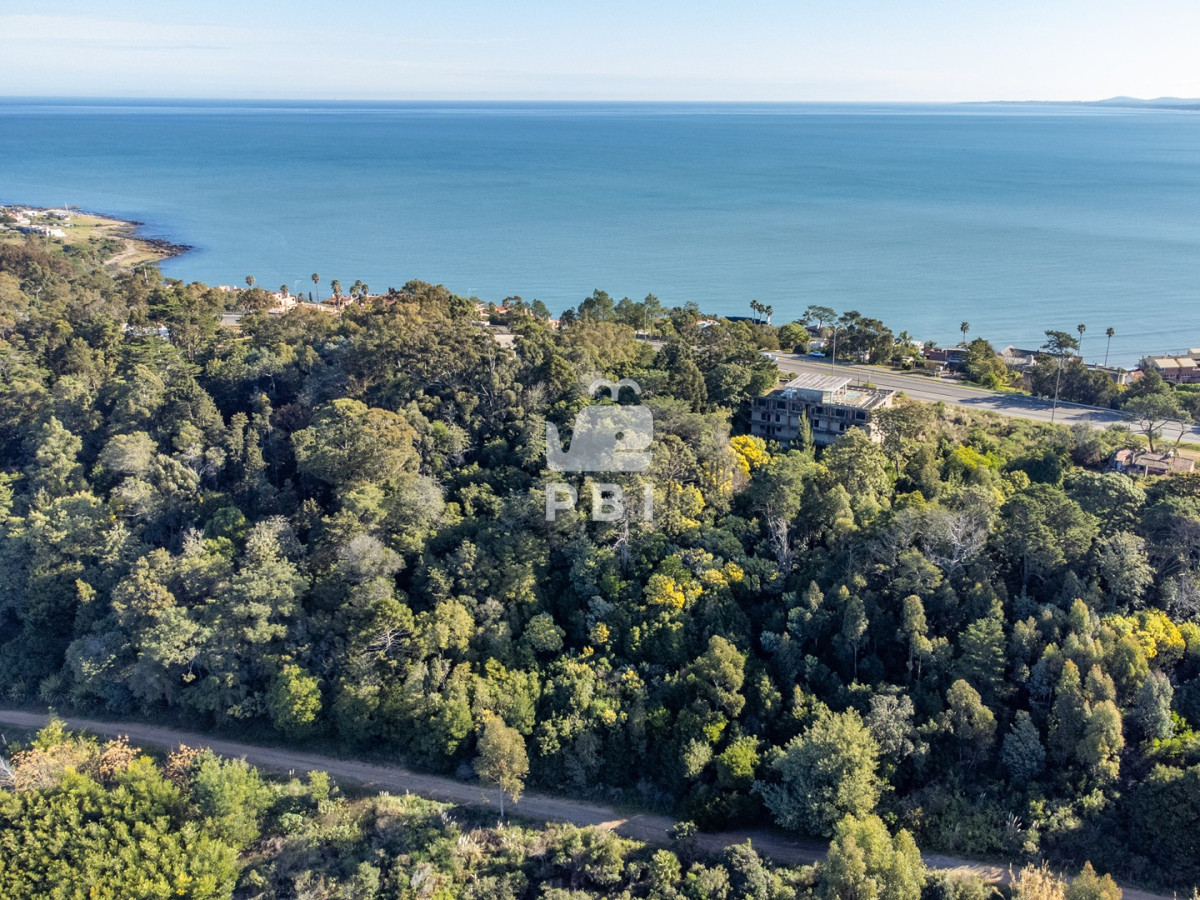 Lomo de la Ballena - GoPunta - Portal Inmobiliario de Punta del Este - Maldonado