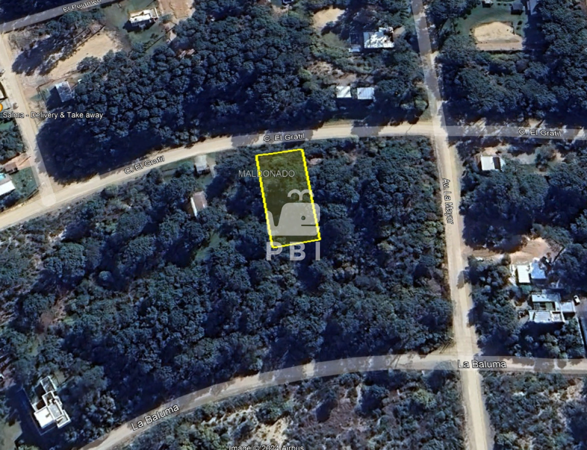 Chihuahua - GoPunta - Portal Inmobiliario de Punta del Este - Maldonado