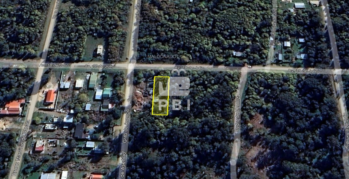Sauce de Portezuelo - GoPunta - Portal Inmobiliario de Punta del Este - Maldonado