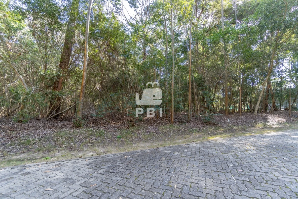 VGVycmVubyBlbiBEZXNpZ24gVmlsbGFnZSwgUHVudGEgQmFsbGVuYSAtIFJlZiA6IFBCSTMxMzI=