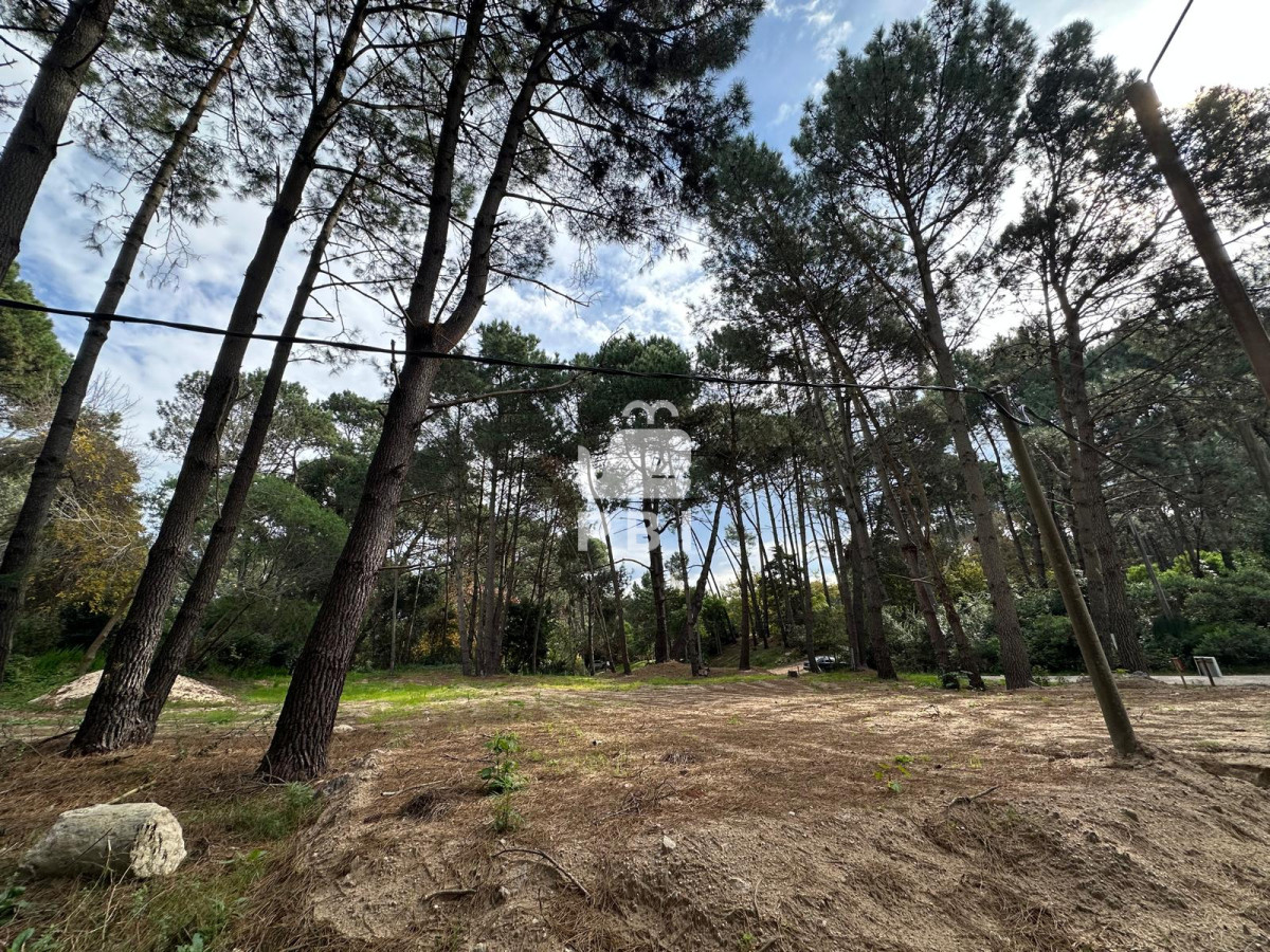 Portezuelo Bosque - GoPunta - Portal Inmobiliario de Punta del Este - Maldonado