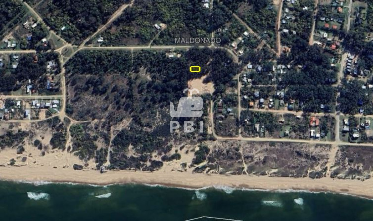 Sauce de Portezuelo - GoPunta - Portal Inmobiliario de Punta del Este - Maldonado