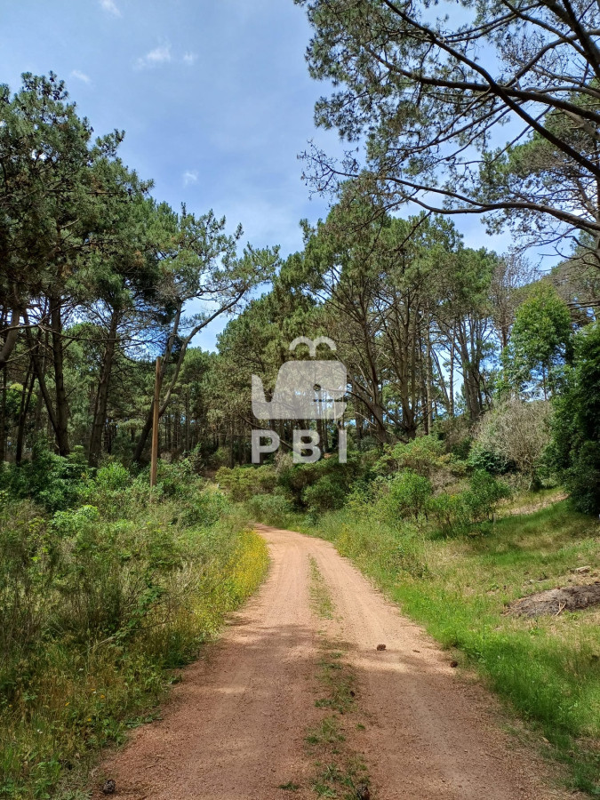 Club del Lago - GoPunta - Portal Inmobiliario de Punta del Este - Maldonado