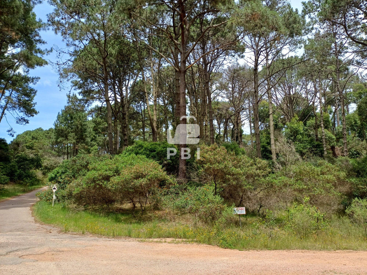 Club del Lago - GoPunta - Portal Inmobiliario de Punta del Este - Maldonado