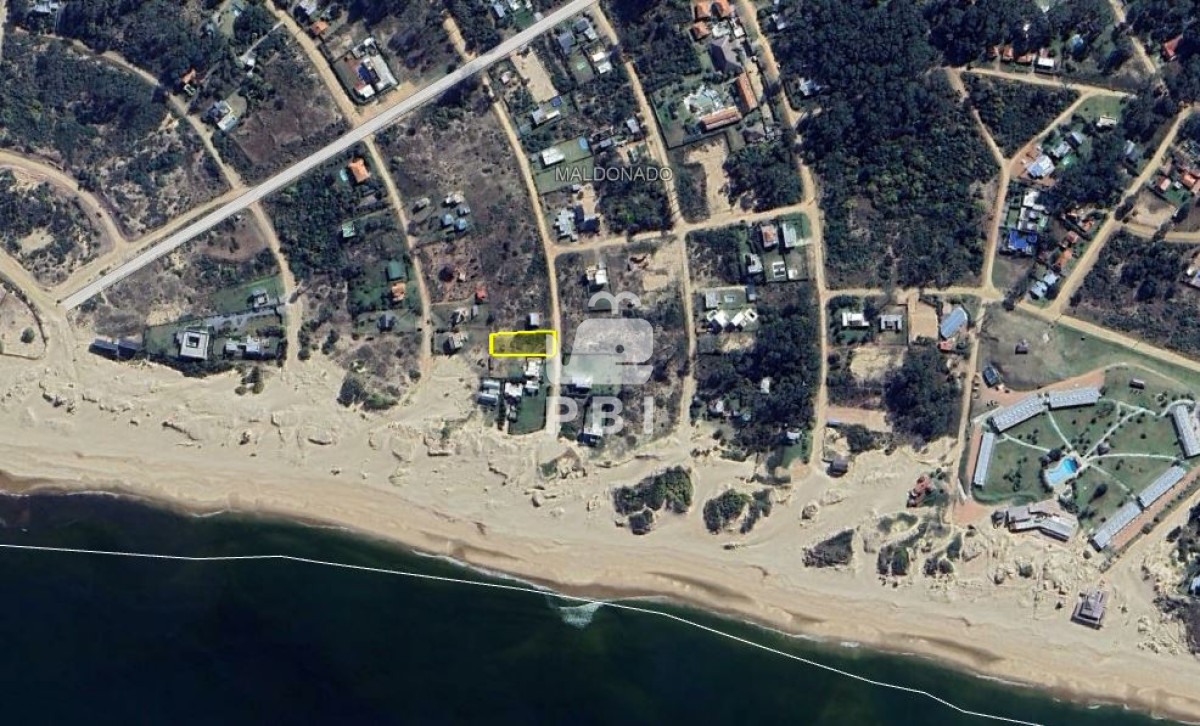Chihuahua - GoPunta - Portal Inmobiliario de Punta del Este - Maldonado