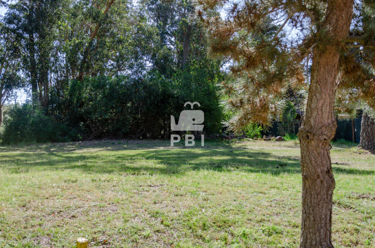 Piedras del Chileno - GoPunta - Portal Inmobiliario de Punta del Este - Maldonado
