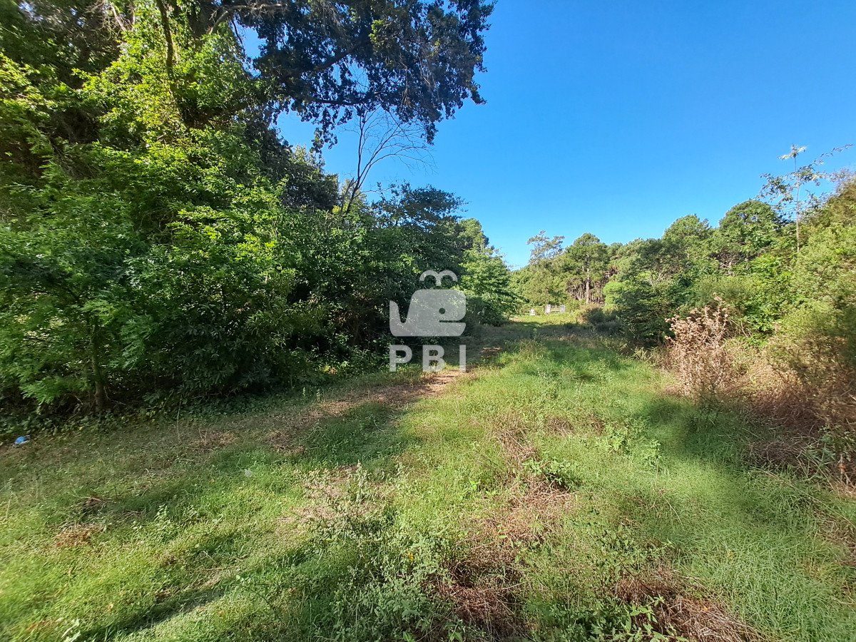 TG90ZSBlbiB2ZW50YSBncmFuIG9wb3J0dW5pZGFkIGRlIGludmVyc2nDs24gLSBSZWYgOiBQQkkxNDYwMw==