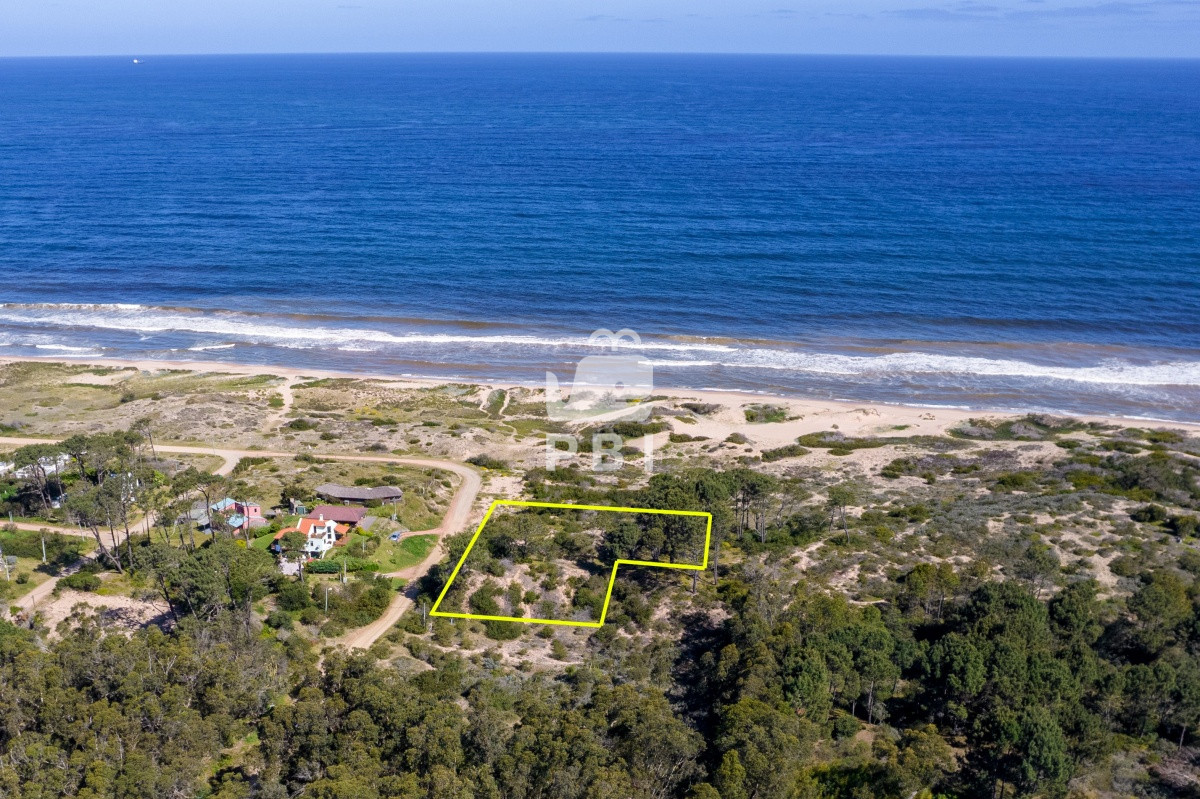 Sauce de Portezuelo - GoPunta - Portal Inmobiliario de Punta del Este - Maldonado