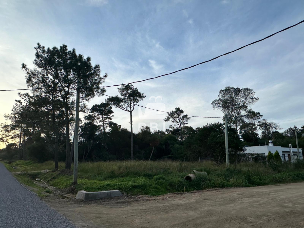 VGVycmVubyBlbiBPY2VhbiBQYXJrIC0gUmVmIDogUEJJMjkyMA==