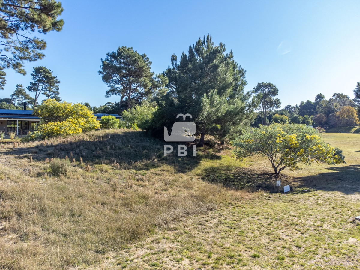 Laguna del Sauce - GoPunta - Portal Inmobiliario de Punta del Este - Maldonado