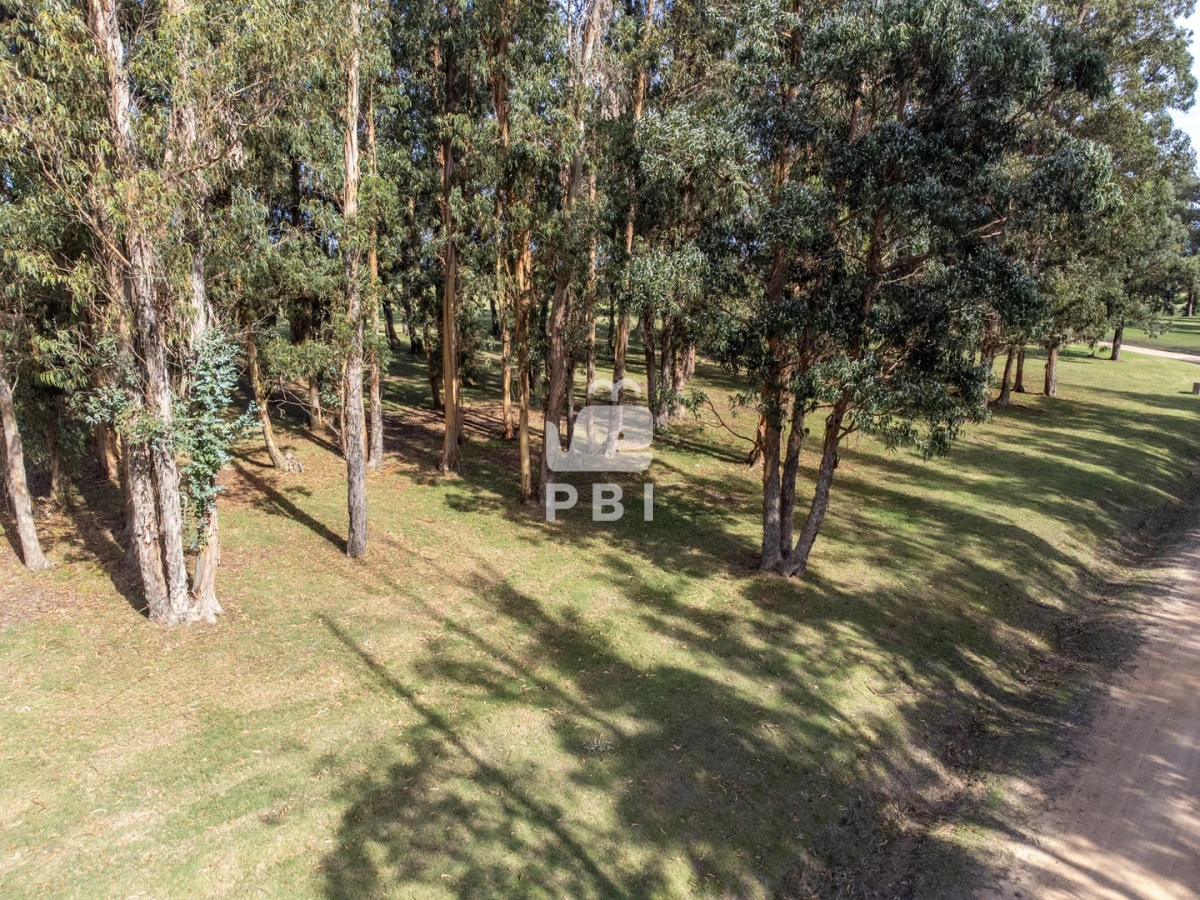 El Quijote - GoPunta - Portal Inmobiliario de Punta del Este - Maldonado