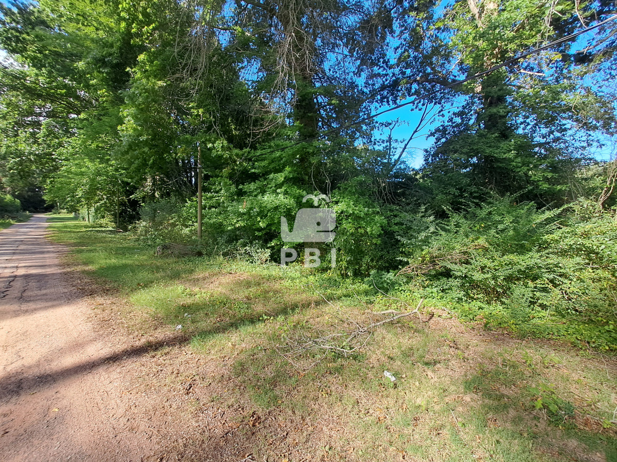 TG90ZSBlbiB2ZW50YSBncmFuIG9wb3J0dW5pZGFkIGRlIGludmVyc2nDs24gLSBSZWYgOiBQQkkxNDYwMw==