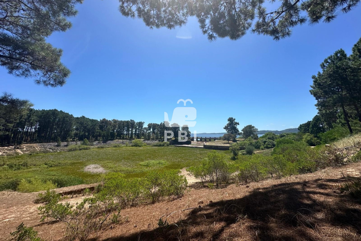 VGVycmVubyBlbiB2ZW50YSBlbiBDbHViIGRlbCBMYWdvLCBQdW50YSBCYWxsZW5hLiAtIFJlZiA6IFBCSTE1NjY3