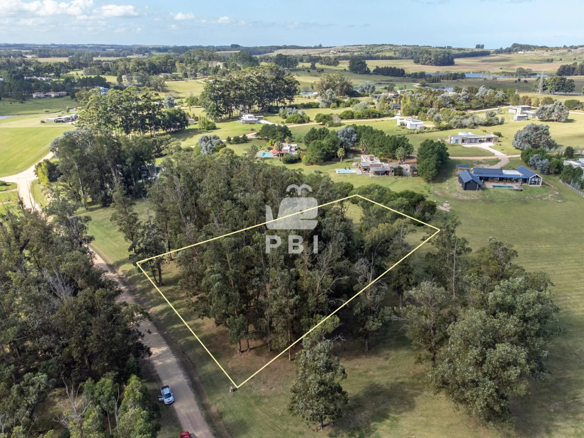 El Quijote - GoPunta - Portal Inmobiliario de Punta del Este - Maldonado