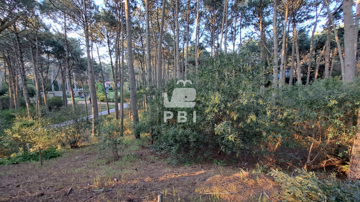 Club del Lago - GoPunta - Portal Inmobiliario de Punta del Este - Maldonado