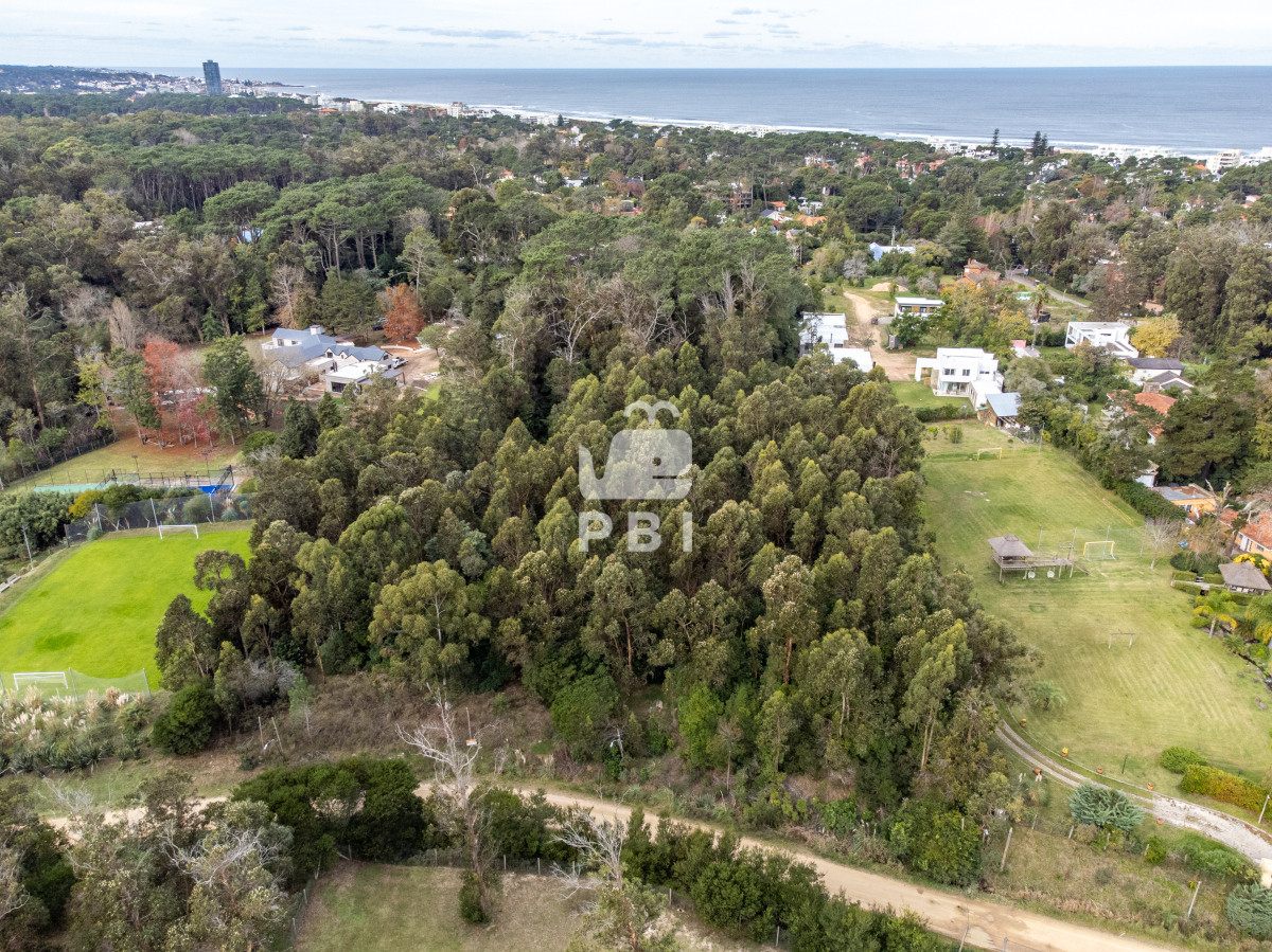 Golf - GoPunta - Portal Inmobiliario de Punta del Este - Maldonado