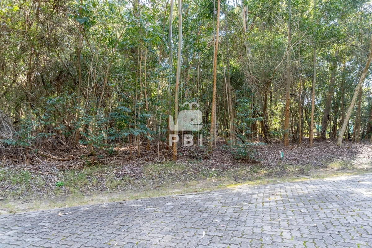 VGVycmVubyBlbiBEZXNpZ24gVmlsbGFnZSwgUHVudGEgQmFsbGVuYSAtIFJlZiA6IFBCSTMxMzI=