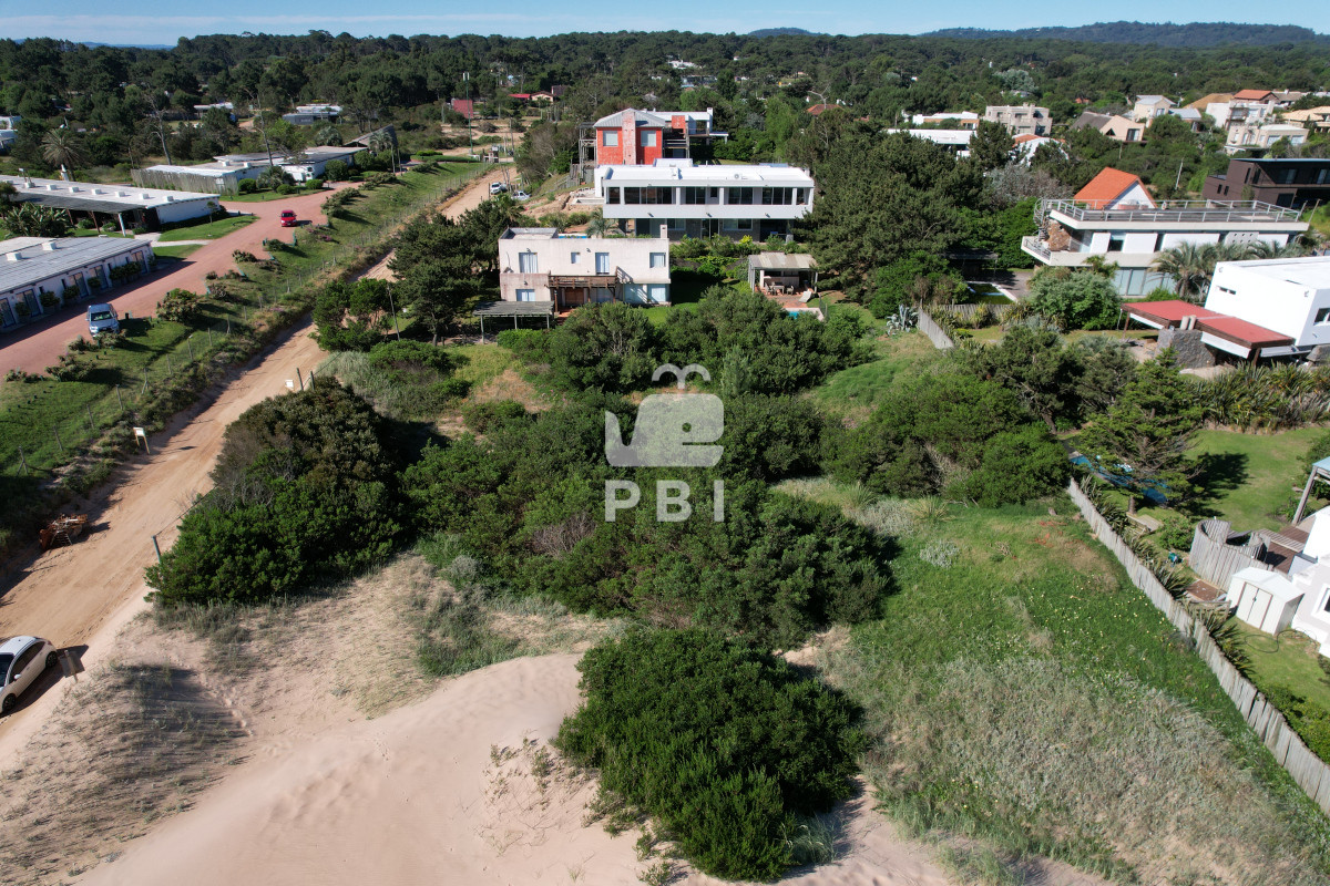 Tio Tom - GoPunta - Portal Inmobiliario de Punta del Este - Maldonado