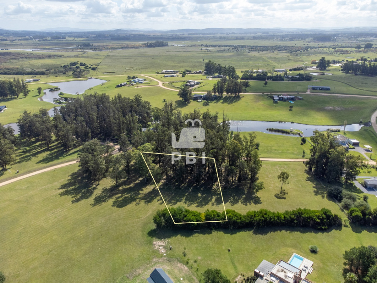 El Quijote - GoPunta - Portal Inmobiliario de Punta del Este - Maldonado