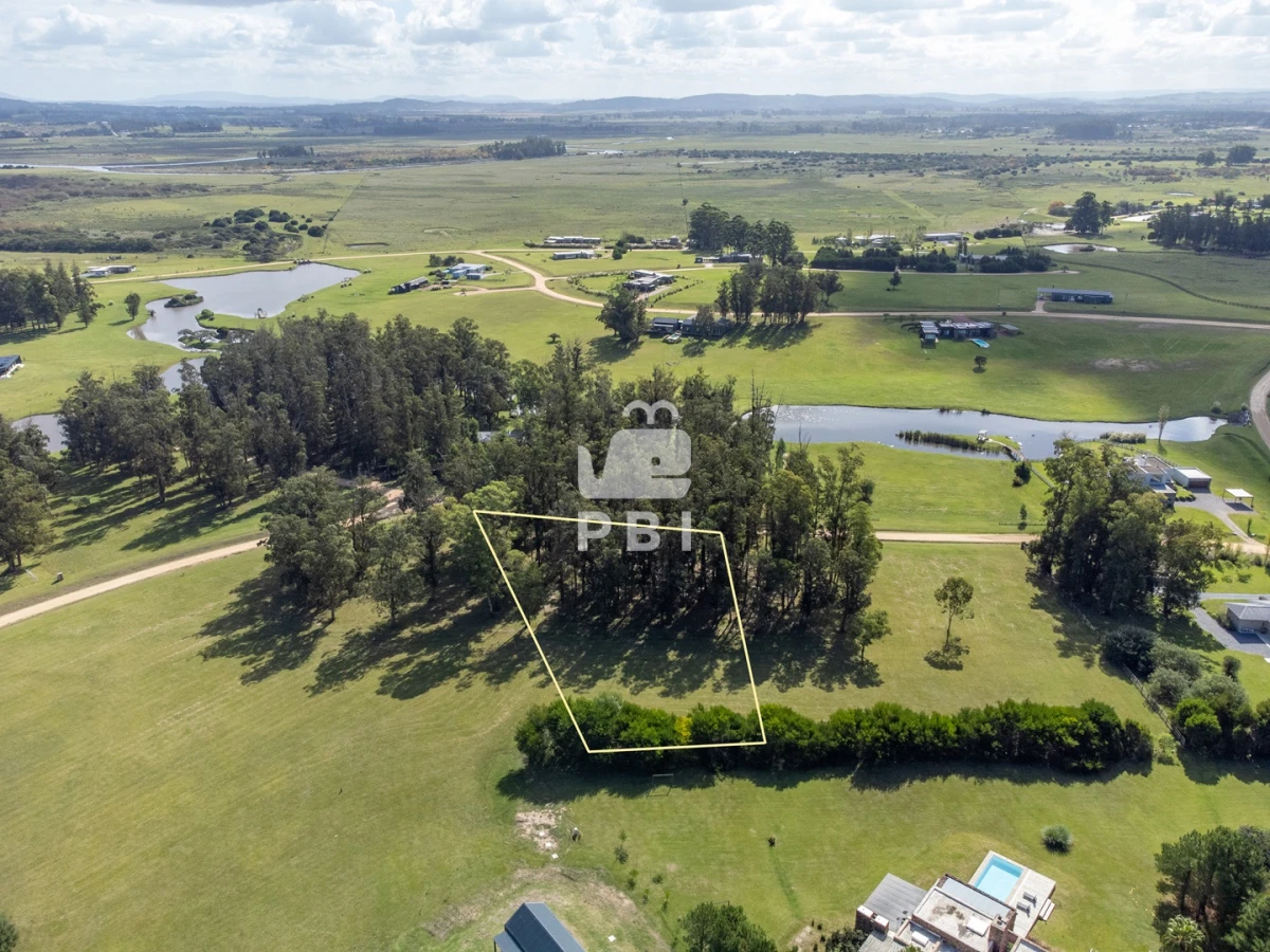 El Quijote - GoPunta - Portal Inmobiliario de Punta del Este - Maldonado