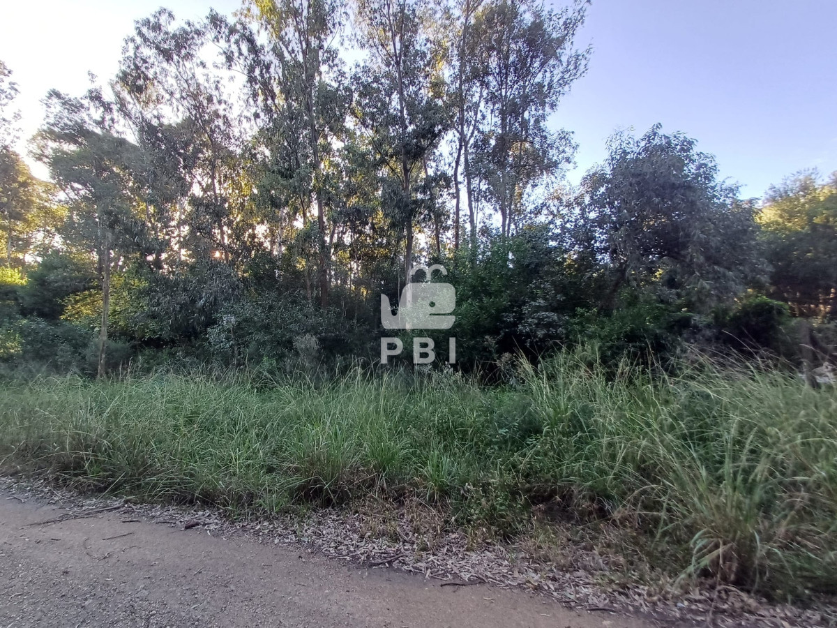 Sauce de Portezuelo - GoPunta - Portal Inmobiliario de Punta del Este - Maldonado