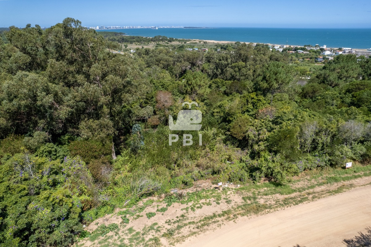 Las Grutas - GoPunta - Portal Inmobiliario de Punta del Este - Maldonado