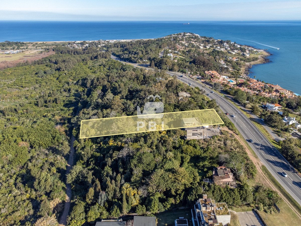 Lomo de la Ballena - GoPunta - Portal Inmobiliario de Punta del Este - Maldonado