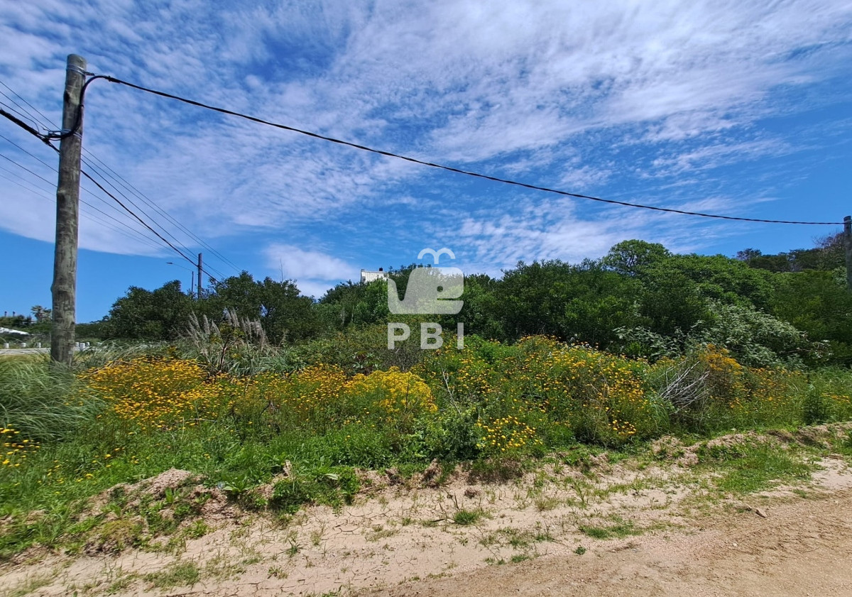 Balneario Buenos Aires - GoPunta - Portal Inmobiliario de Punta del Este - Maldonado