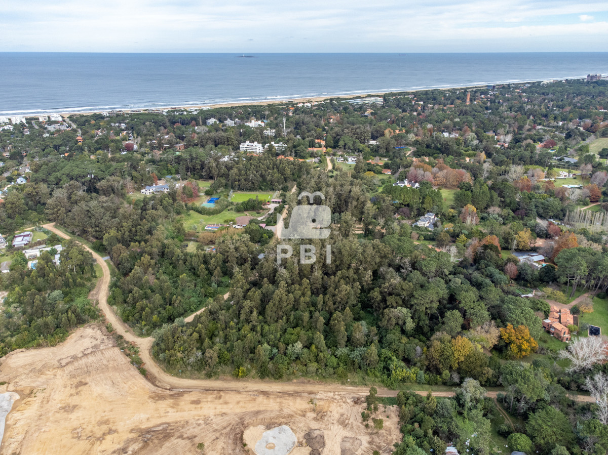 Golf - GoPunta - Portal Inmobiliario de Punta del Este - Maldonado