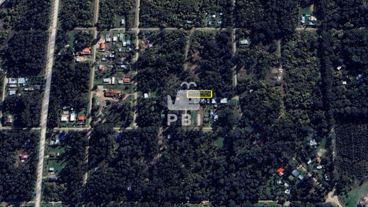 Sauce de Portezuelo - GoPunta - Portal Inmobiliario de Punta del Este - Maldonado