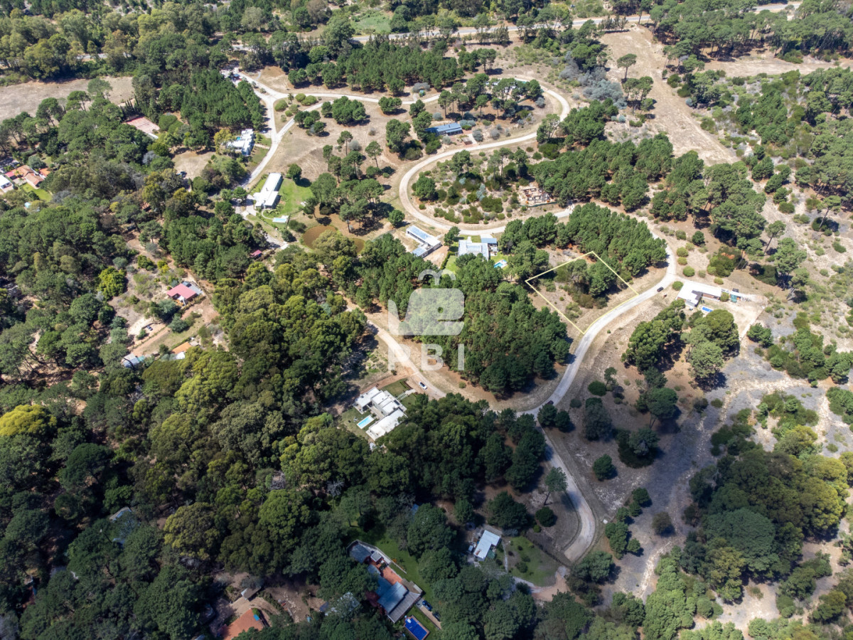 VmVudGEgZGUgVGVycmVubyBlbiBMYWd1bmEgZGVsIHNhdWNlIC0gUmVmIDogUEJJMTM3NzU=