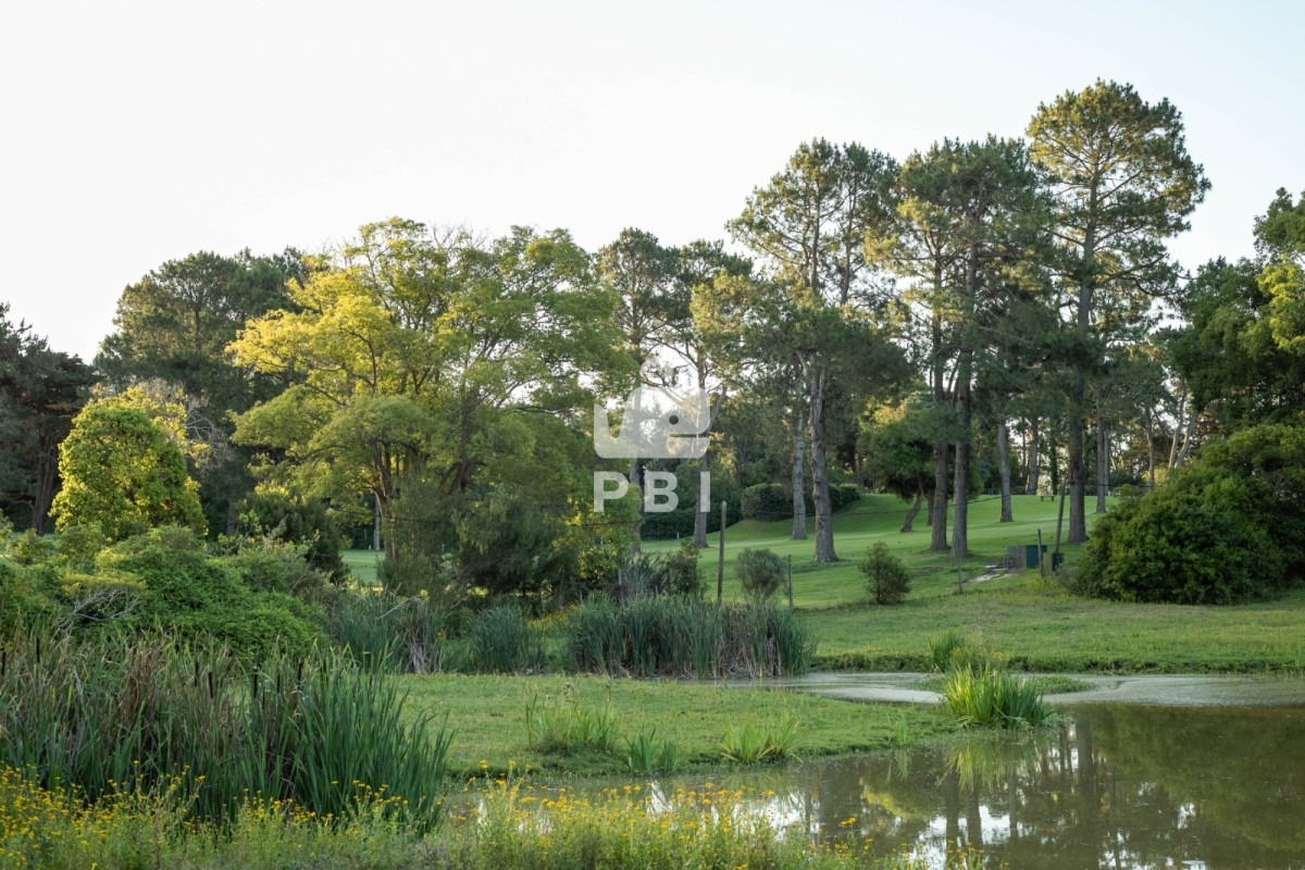 QmFycmlvIGRlbCBHb2xmIFB1bnRhIERlbCBFc3RlIC0gUmVmIDogUEJJMTMyMTY=