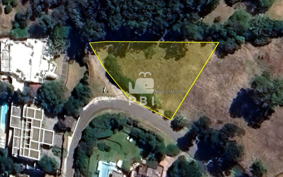 Lomo de la Ballena - GoPunta - Portal Inmobiliario de Punta del Este - Maldonado