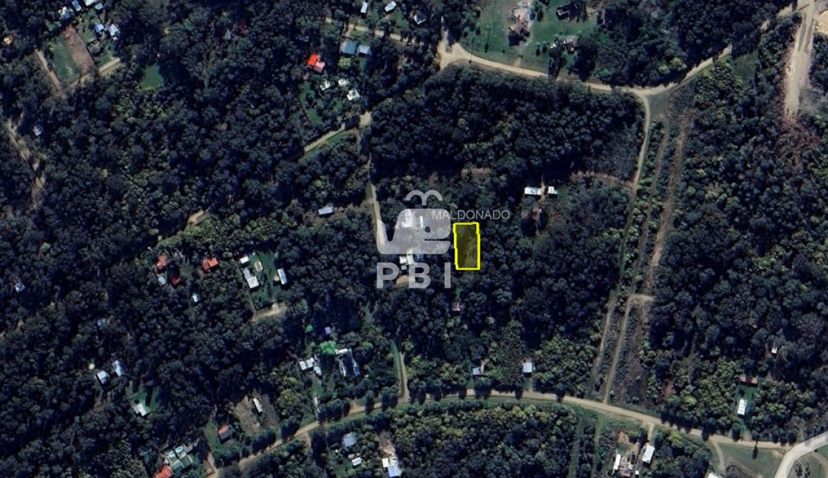 Sauce de Portezuelo - GoPunta - Portal Inmobiliario de Punta del Este - Maldonado
